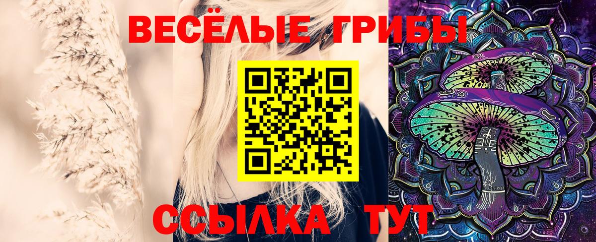 Галлюциногенные грибы мухоморы  Вход с VPN  Миллерово  Галлюциногенные грибы ЛСД 