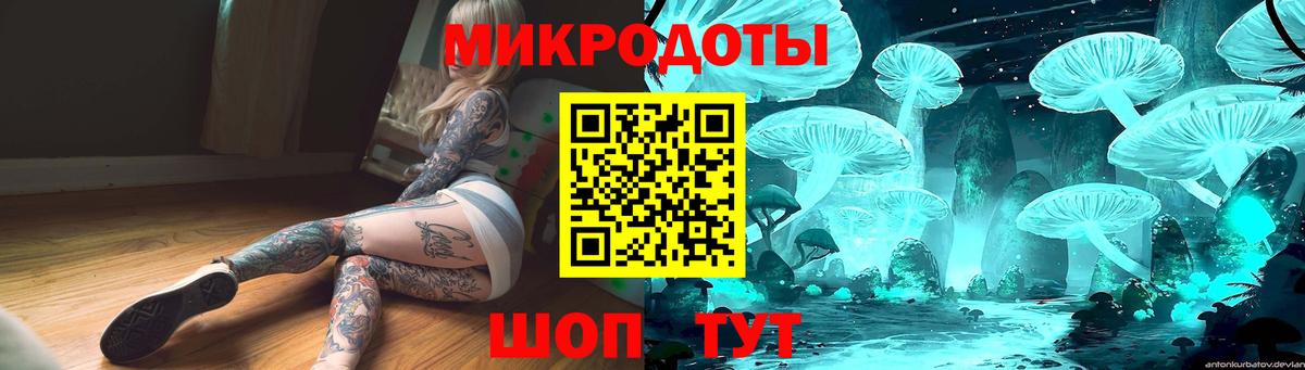 Псилоцибиновые грибы Psilocybe Миллерово